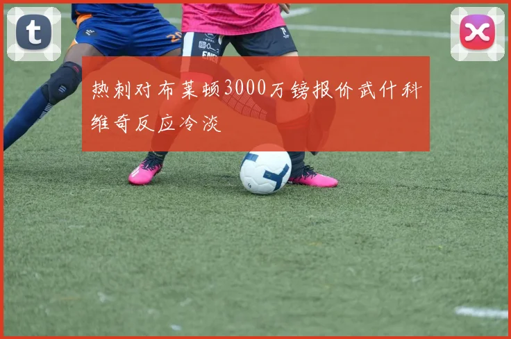 热刺对布莱顿3000万镑报价武什科维奇反应冷淡