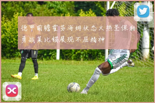德甲前瞻霍芬海姆状态火热圣保利勇战莱比锡展现不屈精神