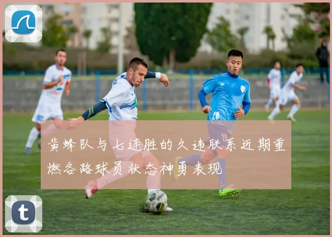 黄蜂队与七连胜的久违联系近期重燃各路球员状态神勇表现